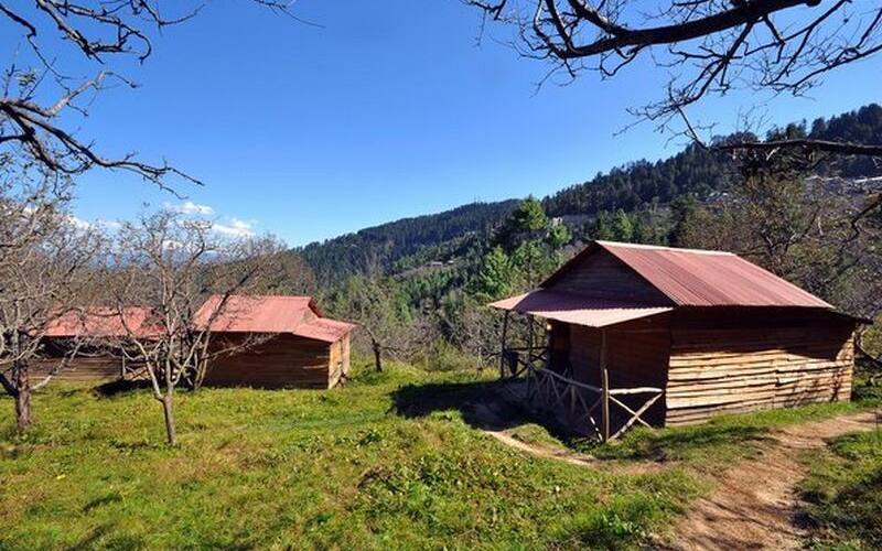 Eco Village, Shimla 5